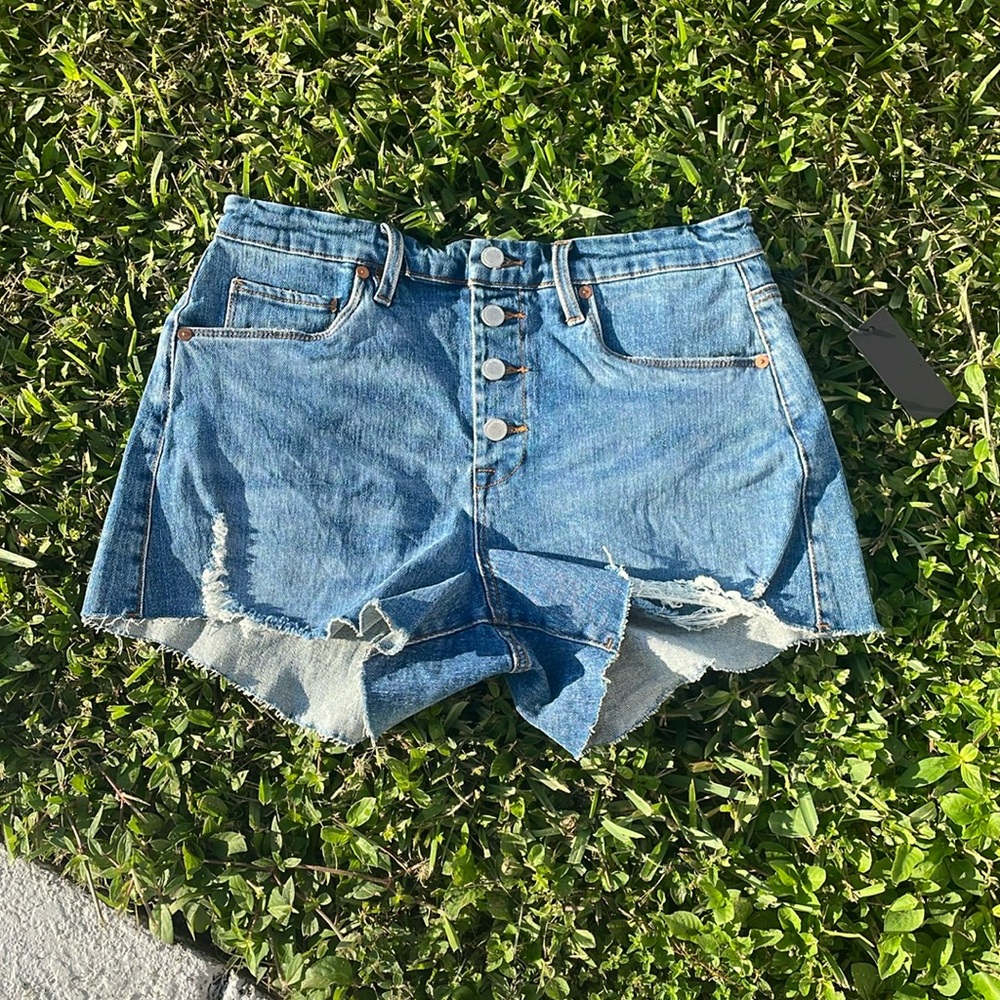[BLANKNYC] “The Barrow” Vintage High Rise Shorts - Size 29 NWT